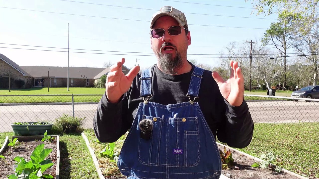 Secrets to Creating a Thriving Garden Without Breaking the Bank