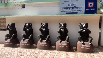 मध्यप्रदेश छत्तीसगढ़ सीमा पर मौजूद है बाघिन