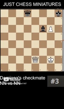 Damiano's checkmate. NN vs NN (1) #chess