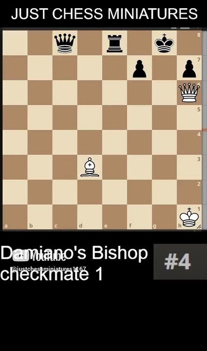 NN vs NN. Damiano's Bishop checkmate 1