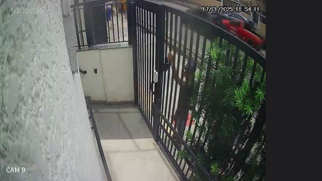 Suspeito força porta, invade prédio residencial à luz do dia em Santos e assusta moradores do Marapé;VÍDEO