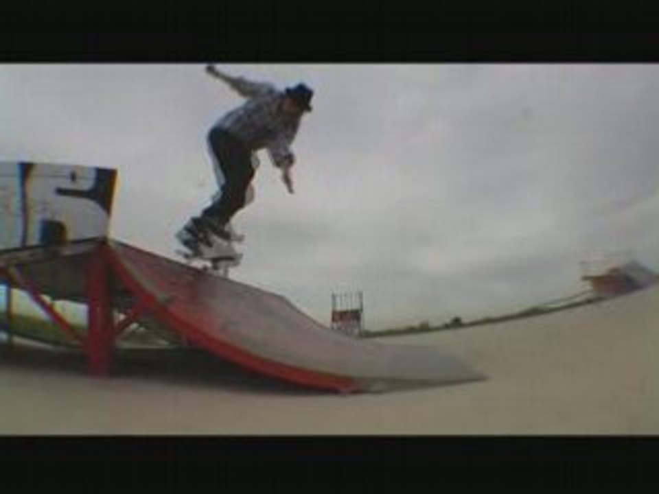 Session vlm cat-skateboard