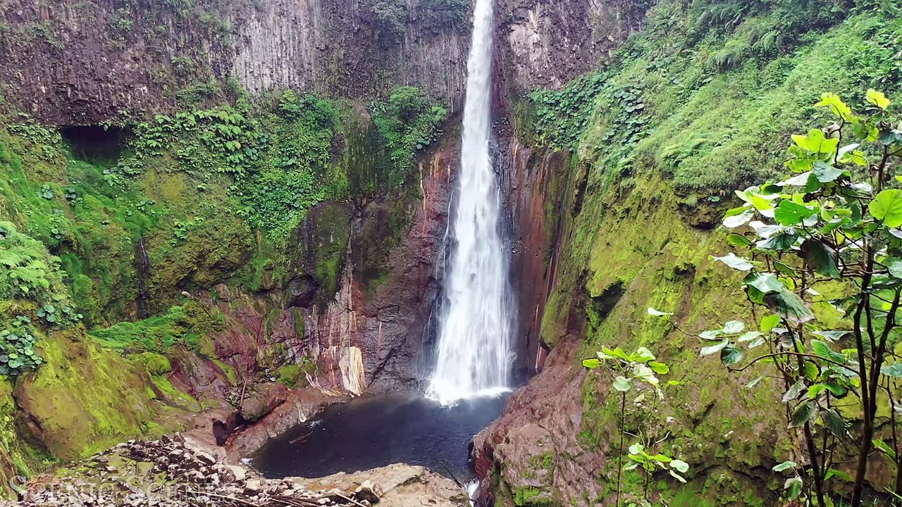 Rainforest 4K - The World’s Amazing Tropical Rainforest ｜ Jungle Sounds ｜ Scenic Relaxation Film