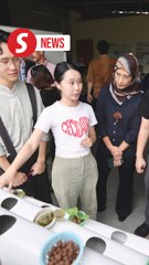 UM cultivates sustainability with rooftop aquaponic farm