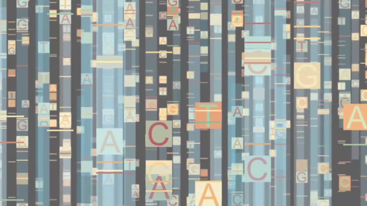 LandingPage