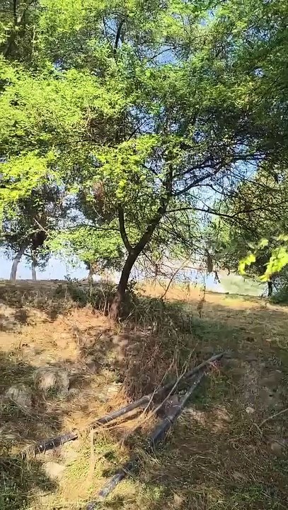 गांधी सागर झील में बने टापू से भारी मात्रा में अफीम का डोडा चूरा बरामद ,नावों के जरिए तस्करी की आशंका, सेंट्रल नारकोटिक्स ब्यूरो की टीम ने की कार्रवाई
