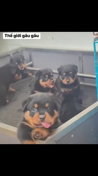 You look so cold and beautiful, but when we talk, I realize you're so stupid