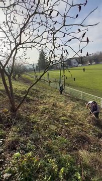 En image journée de travail AS Hausgauen