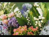 Fete du Muguet