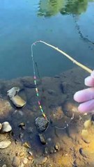 Aggressive Fish Strike at My Favorite Fishing Spot! Unbelievable Action!