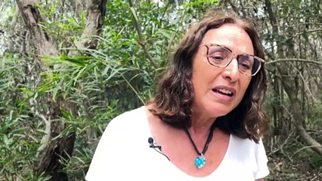 Drones and AI could play bigger role in fighting wildfires as Australia faces year-round fire threat