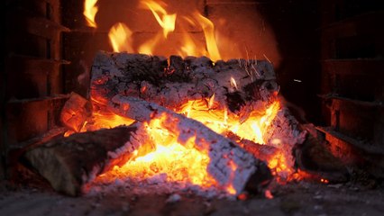 Cozy Fireplace & Alpha Waves | Relaxing Concentration Music for Study, Sleep & Meditation