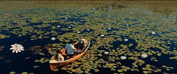 CAN I GET A WITNESS Movie