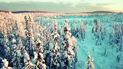 ALASKA SAUVAGE _ Royaume de Glace et Ses Géants Dirigeants _ Documentaire Animal