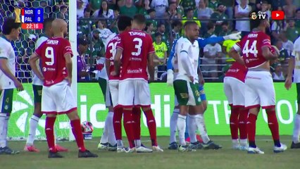 Noroeste x Palmeiras (Campeonato Paulista 2025 2ª rodada) 1° tempo