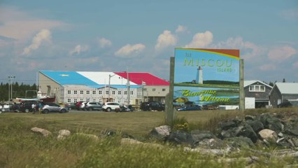 SANDRA LE COUTEUR EN CONCERT LE 11 AOUT A COURSEULLES DANS LE CADRE DU FESTIVAL LA SEMAINE ACADIENNE