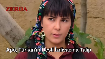 Apo, Türkan'ın Desti İzdivacına Talip - Zerda 39 Bölüm