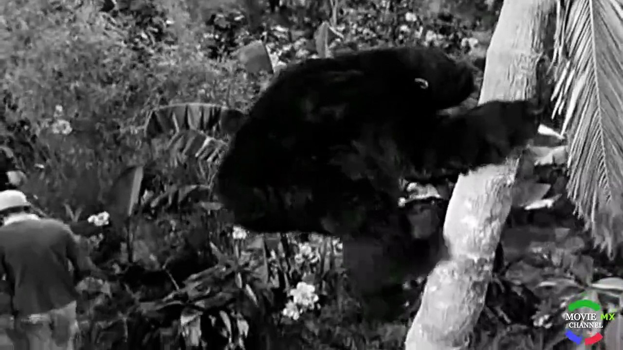 Isla De Gilligan 1x22