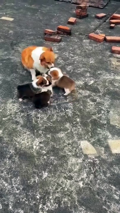 Du wagst es, meinen Bruder anzuschreien...woo...woo...wo sind wir...