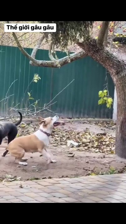 Drunk in love, drunk, who would spin around like that 😆😆