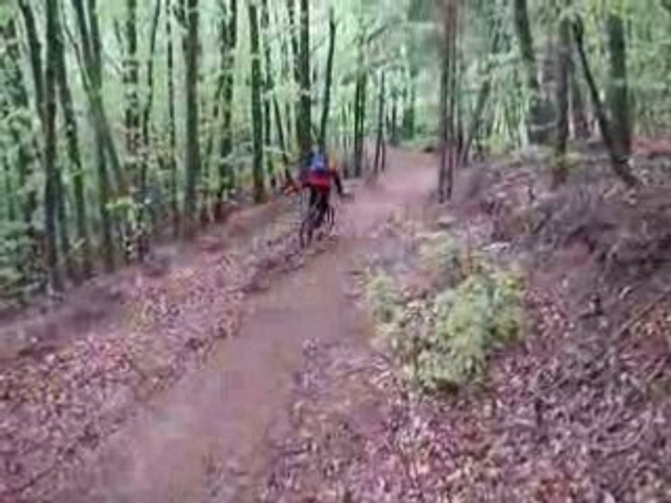 Downhill z jamnika