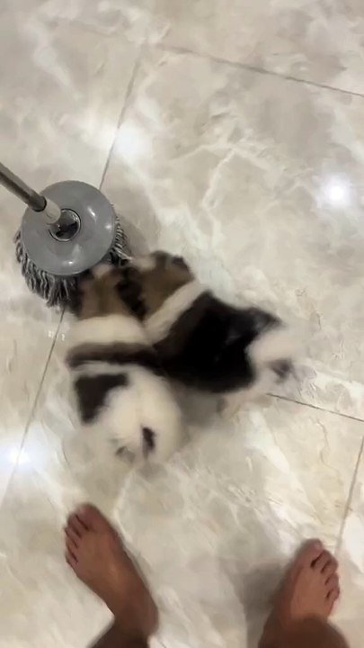 Oh, diese beiden haarigen Würmer...