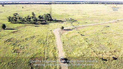 Wandaloo & Wilgadale, Fairymeadow via Miles, Qld | January 20, 2024 | Farmonline