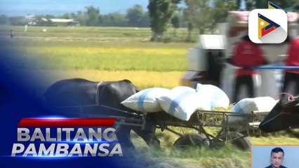 Sapat ang supply ng bigas sa bansa, muling tiniyak ng D.A.