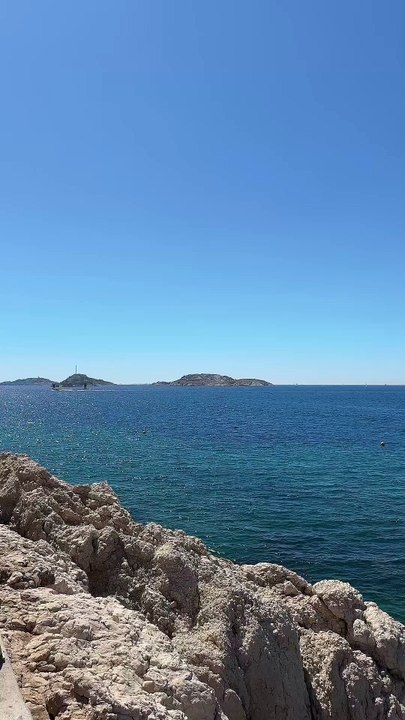 C'est vraiment n'importe quoi #motivation #conseils #proverbe #citation