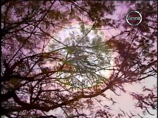 137. La Esclava Isaura (A Escrava Isaura), en español