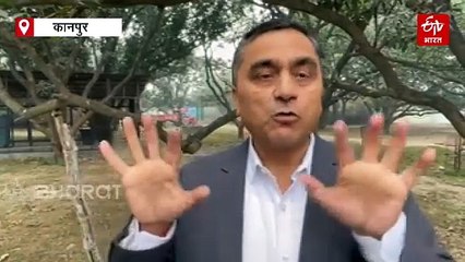 कमाल का है आईआईटी में बना स्मार्ट स्प्रेयर, पेड़ों की पत्तियों और डंठलों तक पहुंचाएगा दवा