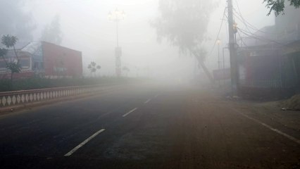 कोहरे का असर: हाईवे पर स्पीड हुई कम, घंटे देरी से चल रही ट्रेन... सोगरिया नई दिल्ली रदद्