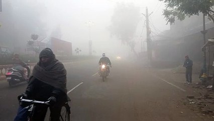 कोहरे का असर: हाईवे पर स्पीड हुई कम, घंटे देरी से चल रही ट्रेन... सोगरिया नई दिल्ली रदद्