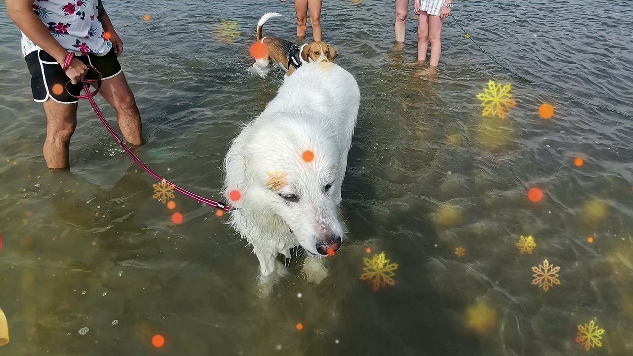 « Floky…» paroles de Ludovic Freppaz