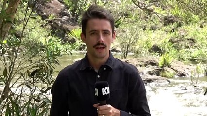 Two teenagers die at Wappa Falls on Sunshine Coast after attempted rescue from waterfall
