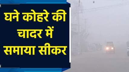 घने कोहरे की चादर में समाया सीकर