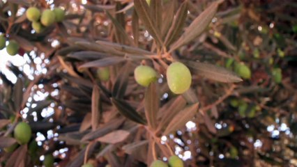 Drive Thru History - S3E12 - Holy Land - Temple, Cross, and the Empty Tomb - Part 3