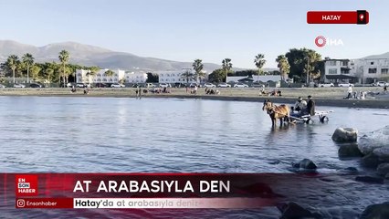 Hatay'da at arabasıyla denize girip güneşlendiler