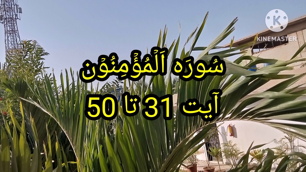 Surah Al mominun || Tajweed || quran recitation || bubak learn quran ||