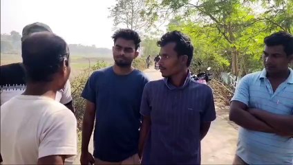 ভারতীয় জমির ফসল কাটা অব্যাহত বাংলাদেশিদের৷ অনেকটা স্বাভাবিক সীমান্ত পরিস্থিতি৷