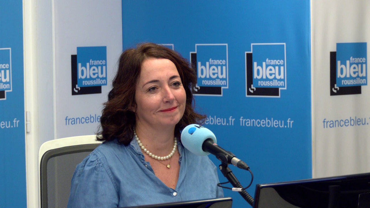 Le tourisme en camping-car "a le vent en poupe dans les Pyrénées-Orientales", déjà plus d'une dizaine d'aires d'accueil