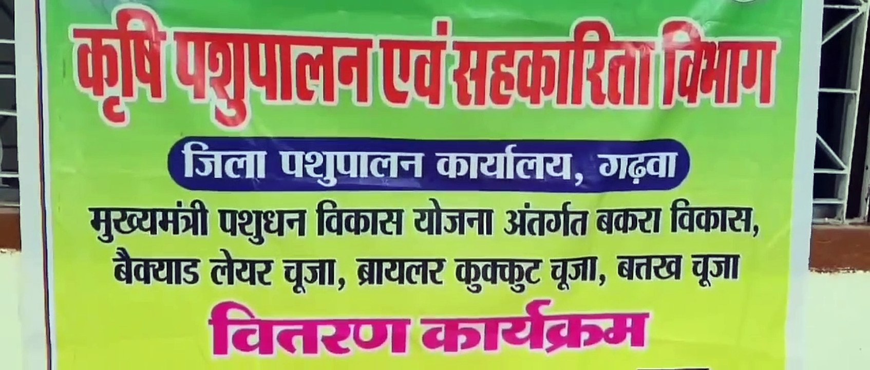 ये कैसा पशुधन योजना 7 लीटर दूध की जगह दे दिया 7 सौ ग्राम दूध वाली गाय, बकरी के वजन पर उठे सवाल