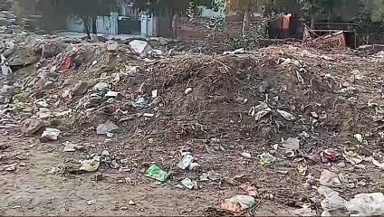 भिवानी के पॉश इलाके एमसी कॉलोनी में लगा गंदगी का ढ़ेर : भिवानी वार्ड नंबर-8 में एमसी कॉलोनी व ओल्ड भारत नगर में छाया गंदगी का आलम, नागरिक परेशान