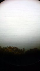 Humpback Whale breaches the surface off Newquay