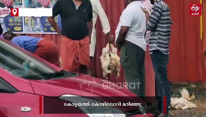 കോട്ടയത്ത് കോഴിയുമായി വന്ന ലോറി മറിഞ്ഞു; ചത്ത കോഴികളെ കൈക്കലാക്കാൻ തിക്കി തിരക്കി നാട്ടുകാർ