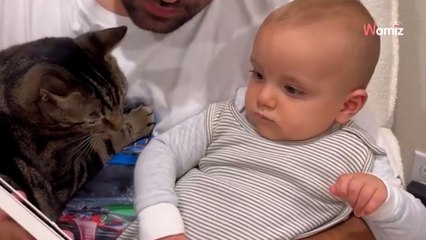 Kot przerywa czytanie. Reakcja dziecka jest komiczna (wideo)