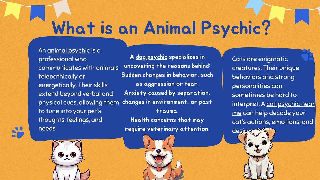 Discover the World of Animal Psychics Understanding Your Pet’s Inner Thoughts