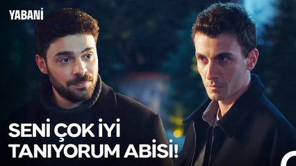 Yabani'nin Güçlü Hikayesi: Şansa Bırakmadan Hayatta Kalma Mücadelesi 🐾