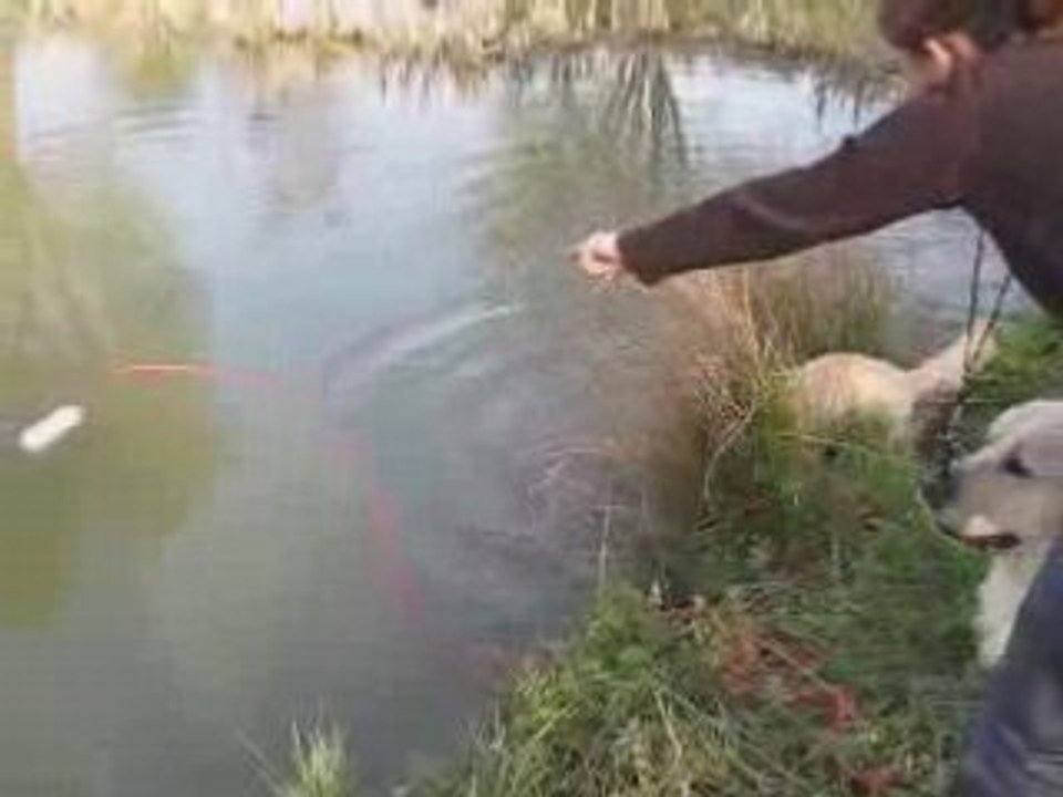 Ghalia rapport eau