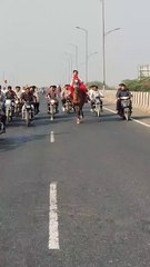 વરરાજાએ 100 અશ્વો સાથે જાન જોડી, માર્ગો ઘોડાના ડાબલાના અવાજથી ગુંજ્યા, પૈસાનો પણ વરસાદ